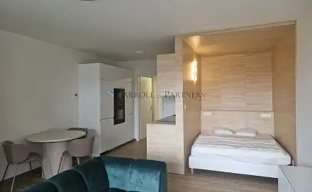 Pronájem bytu 1+kk 38 m², U Hájenky, Ostrava - Slezská Ostrava