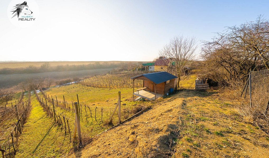 Prodej komerčního pozemku 1 444 m², Pasohlávky – náhled fotky 12