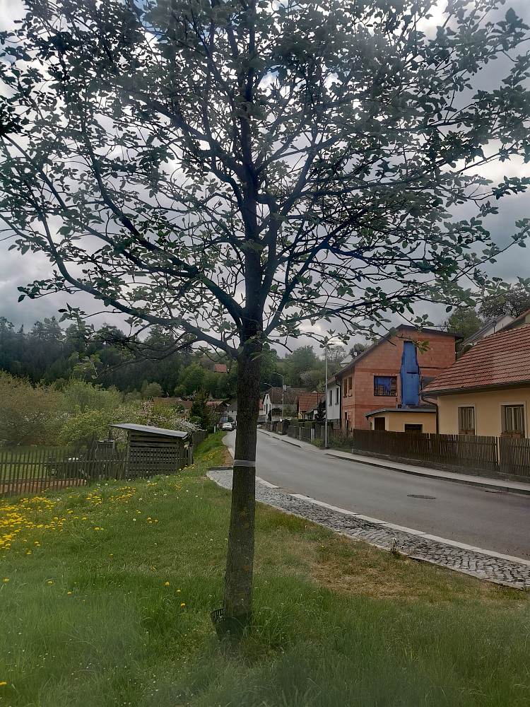 Prodej domu 140 m² s pozemkem 113 m²