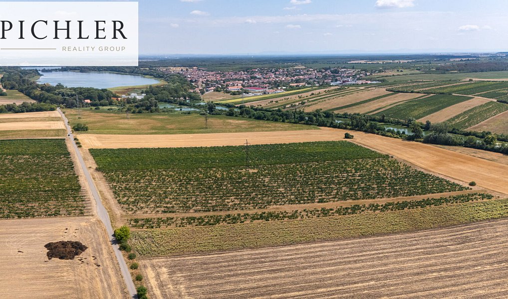 Prodej pozemku 24 332 m², Sedlec – náhled fotky 8