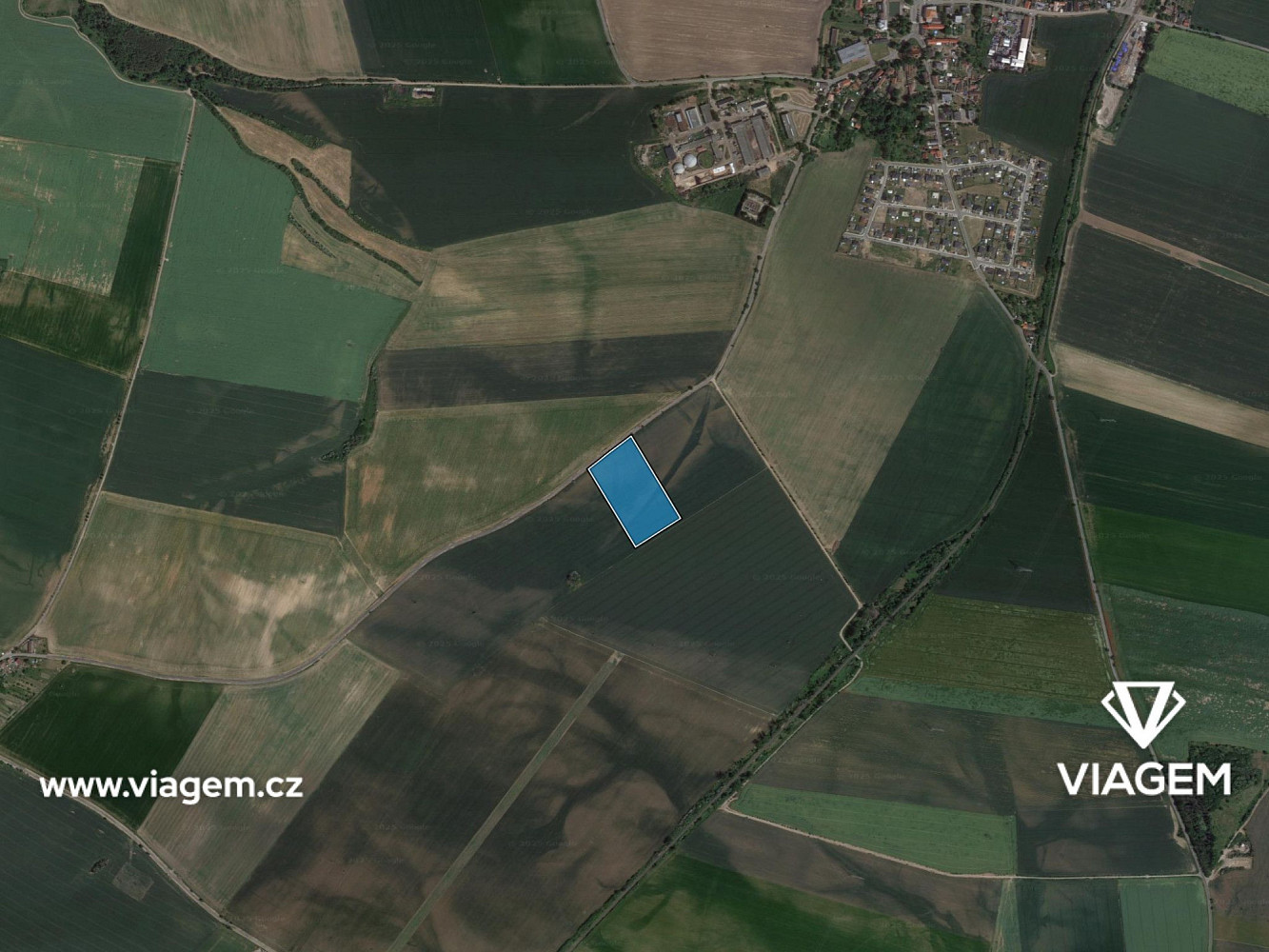 Prodej pole 2 650 m² – fotografie 3