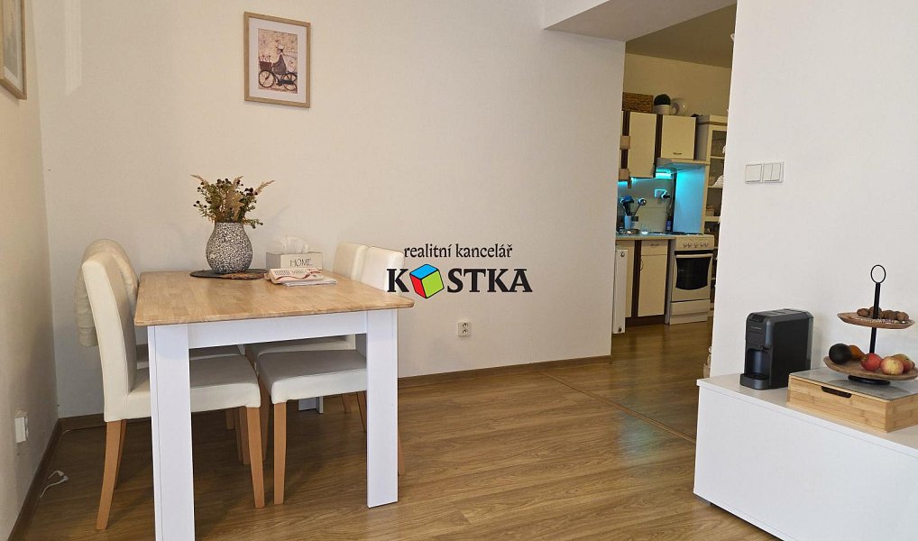 Pronájem bytu 1+1 48 m², Nový Jičín – náhled fotky 4