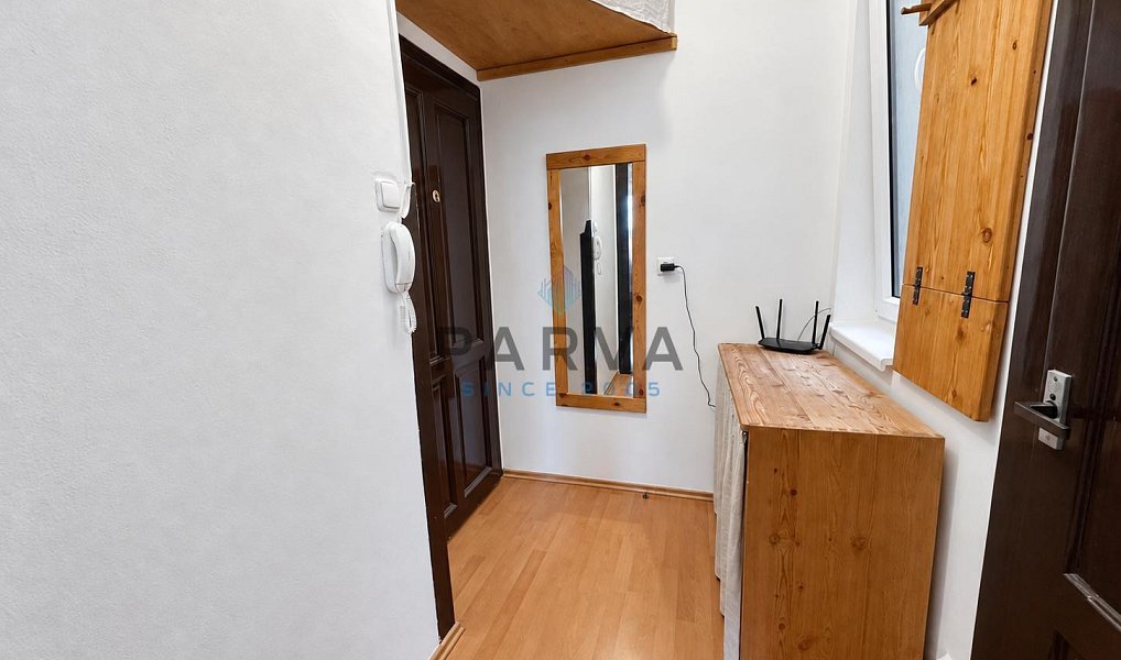 Pronájem bytu 1+kk 26 m², Plzeň – náhled fotky 4