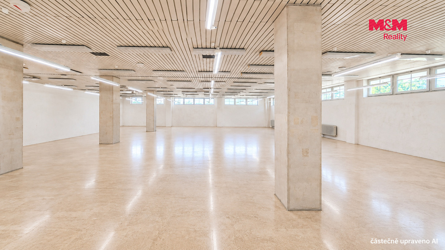 Pronájem obchodních prostor 260 m² – fotografie 3