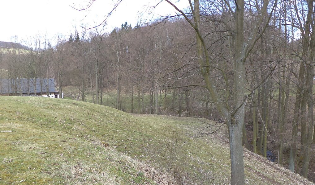 Prodej pole 4 633 m², Heřmanov – náhled fotky 3