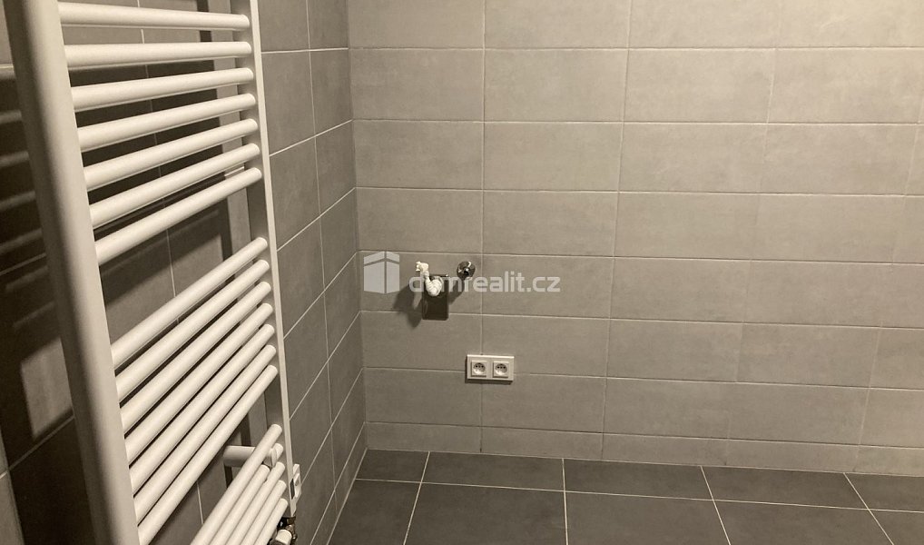 Pronájem bytu 2+kk 64 m², Plzeň – náhled fotky 12