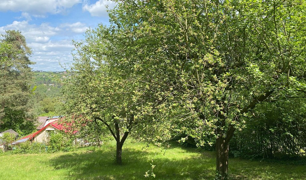 Prodej chaty/chalupy 50 m² s pozemkem 905 m², Hradištko – náhled fotky 6