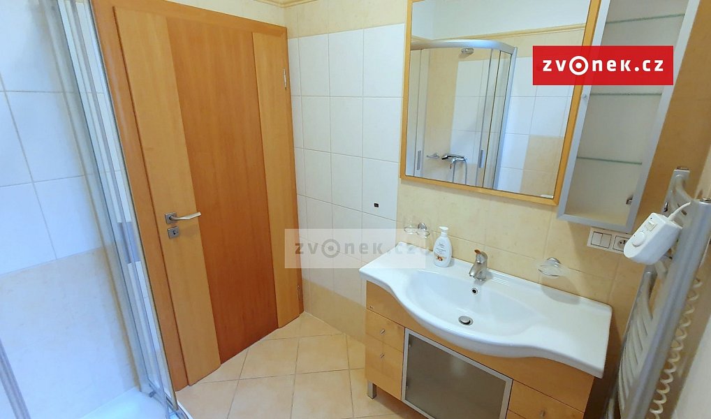 Pronájem domu 270 m² s pozemkem 200 m², Zlín – náhled fotky 10