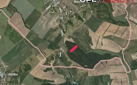 Ostatní
