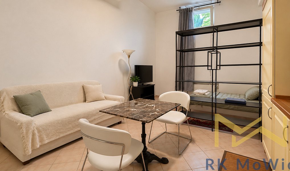 Pronájem bytu 1+kk 41 m², Praha – náhled fotky 3