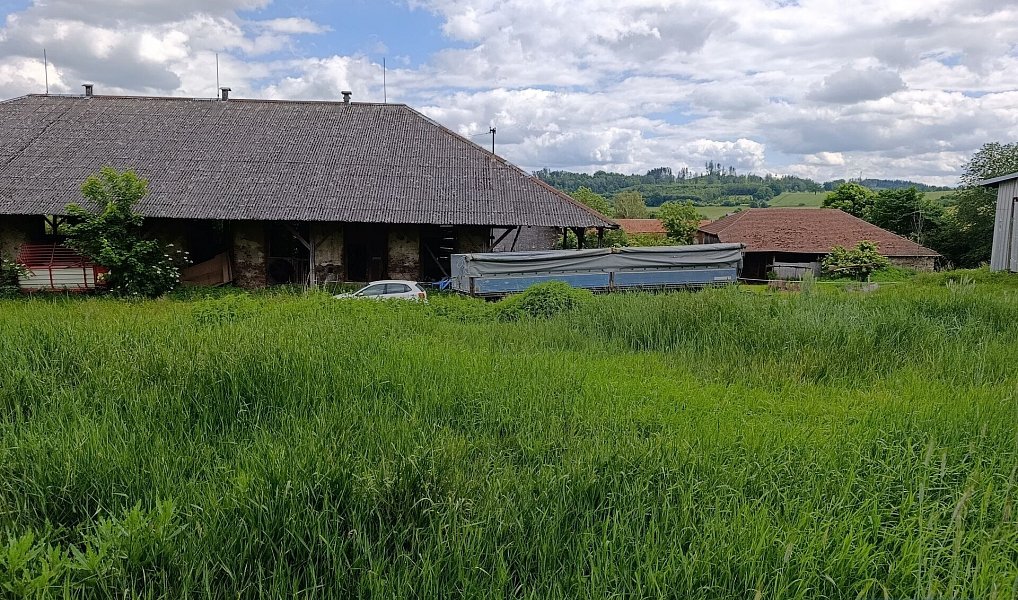 Prodej zemědělského objektu 2 020 000 m², Pavlov – náhled fotky 12