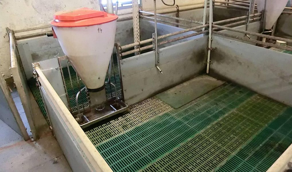 Prodej zemědělského objektu 2 000 m², Majdalena – náhled fotky 16