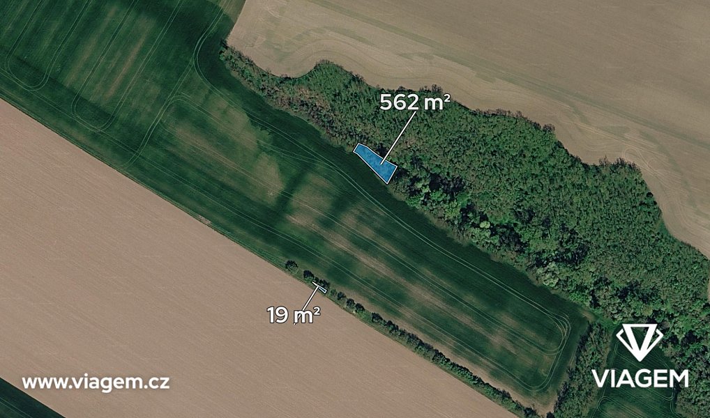 Prodej lesa 387 m², Ivančice – náhled fotky 2