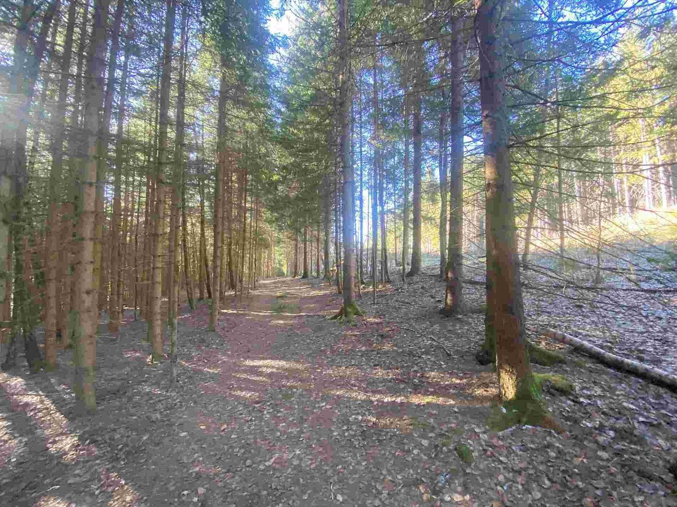 Prodej pole 1 644 m²