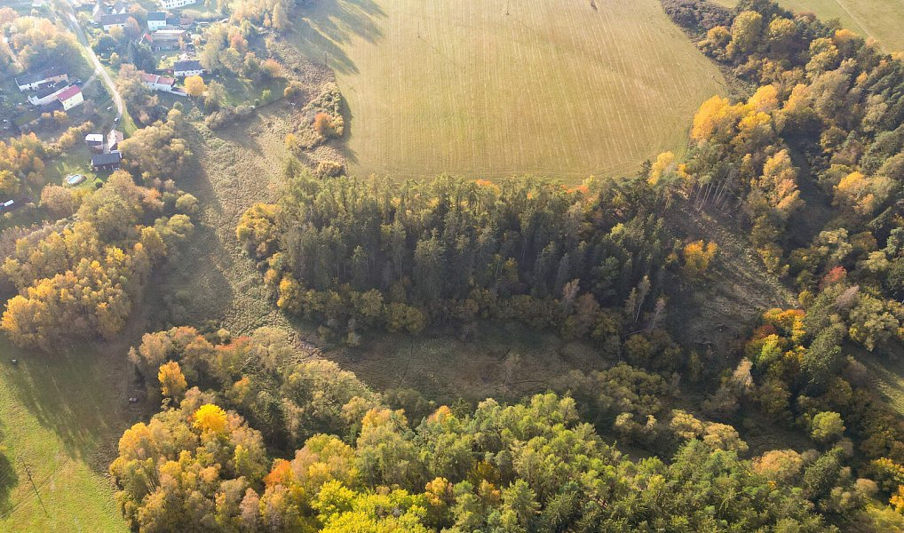 Prodej pozemku 15 970 m², Planá – náhled fotky 12