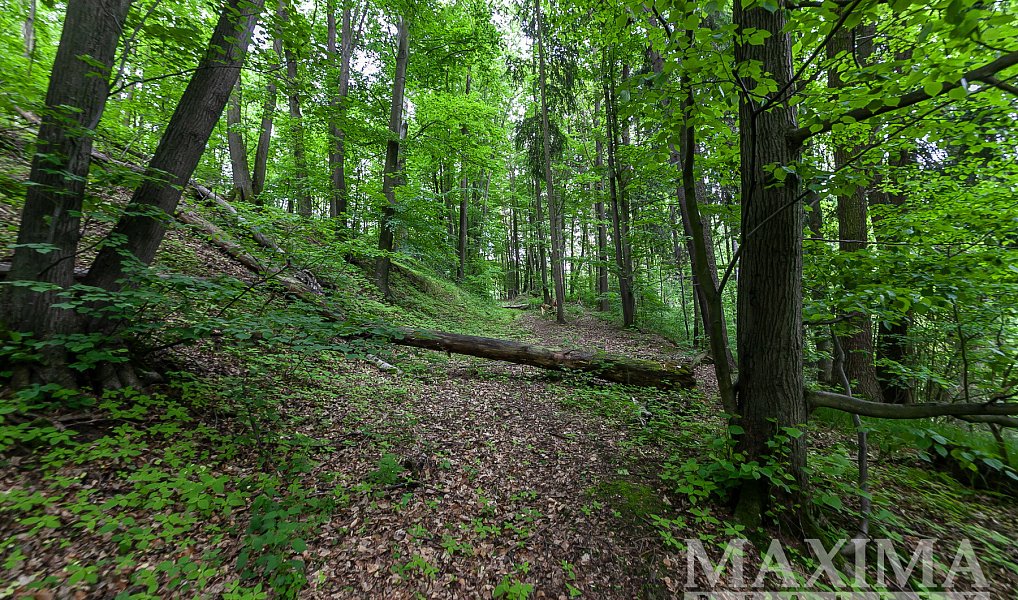 Prodej pole 14 573 m², Višňová – náhled fotky 12