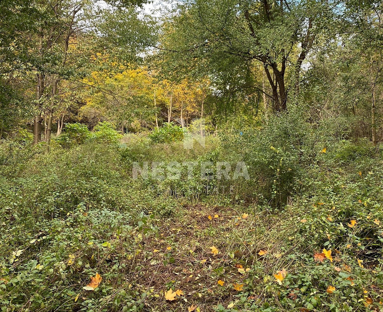 Prodej stavebního pozemku 5 321 m² – další