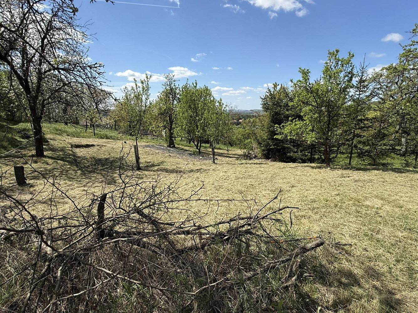 Prodej zahrady 539 m² – pohled 5