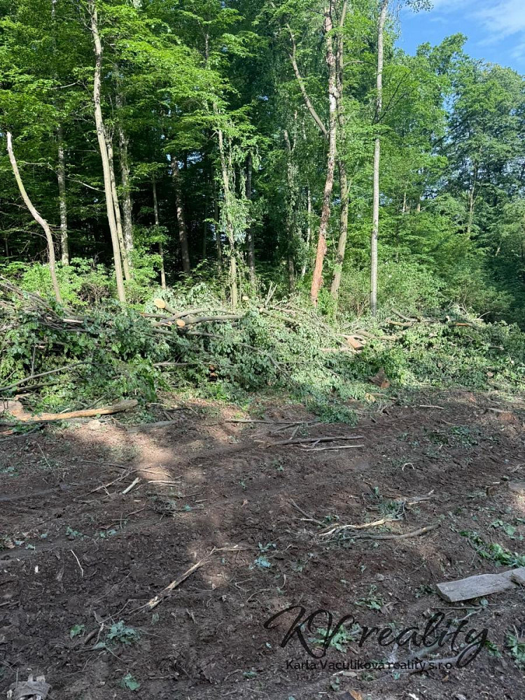 Prodej lesa 7 989 m²