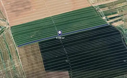 Prodej pole 4 169 m², Čejkovice, okres Hodonín
