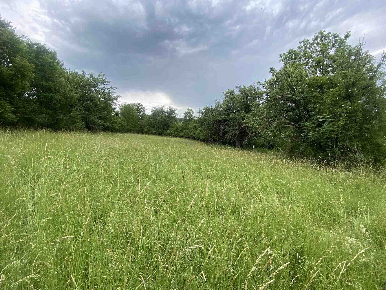 Prodej pole 10 485 m² – fotografie 4