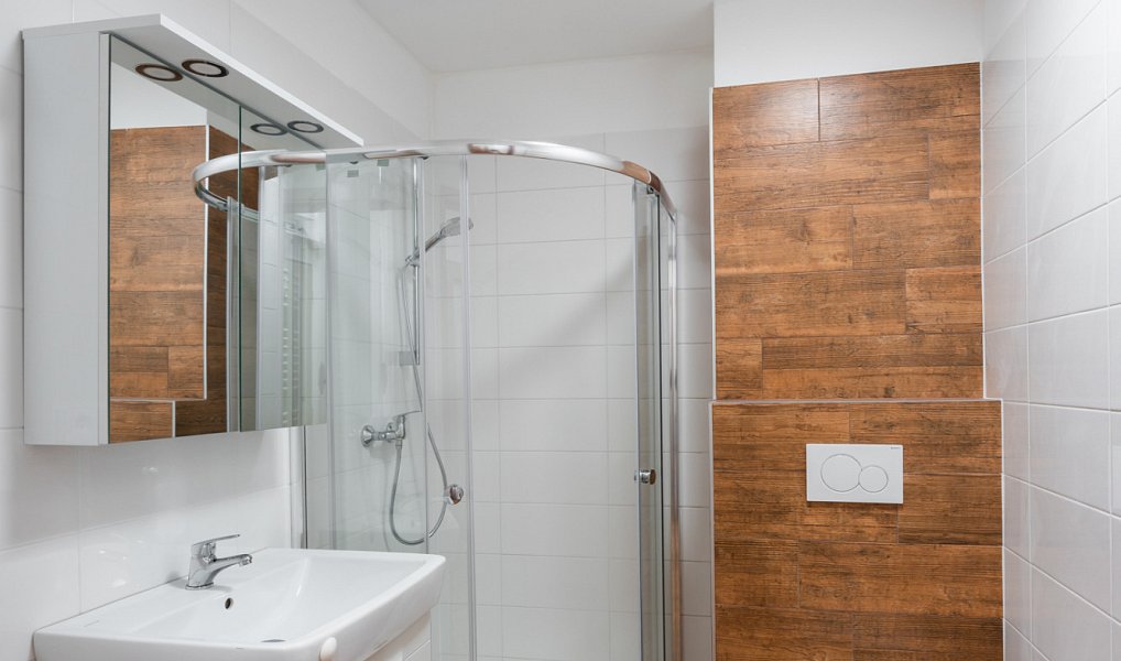 Pronájem bytu 1+kk 24 m², Plzeň – náhled fotky 5