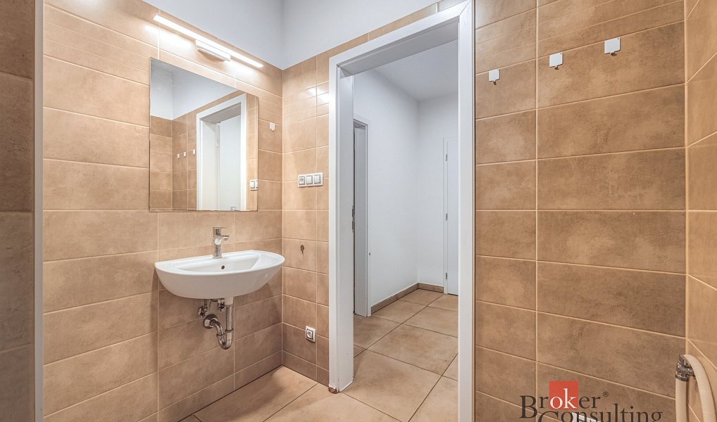 Pronájem bytu 2+1 48 m², Plzeň – náhled fotky 7