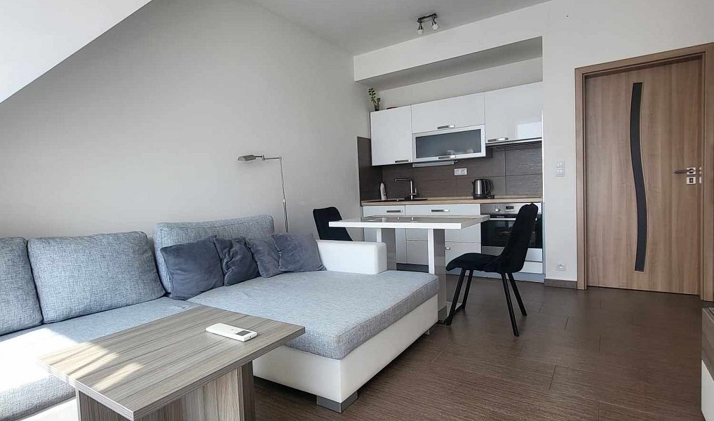 Pronájem bytu 2+kk 49 m², České Budějovice – náhled fotky 2