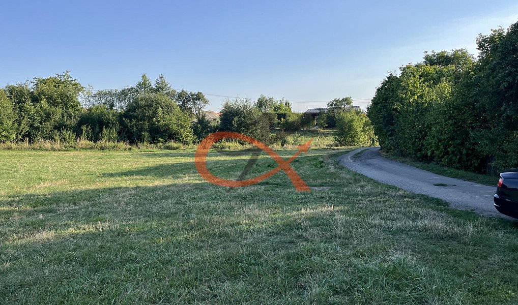 Prodej louky 2 325 m², Lešná – náhled fotky 4