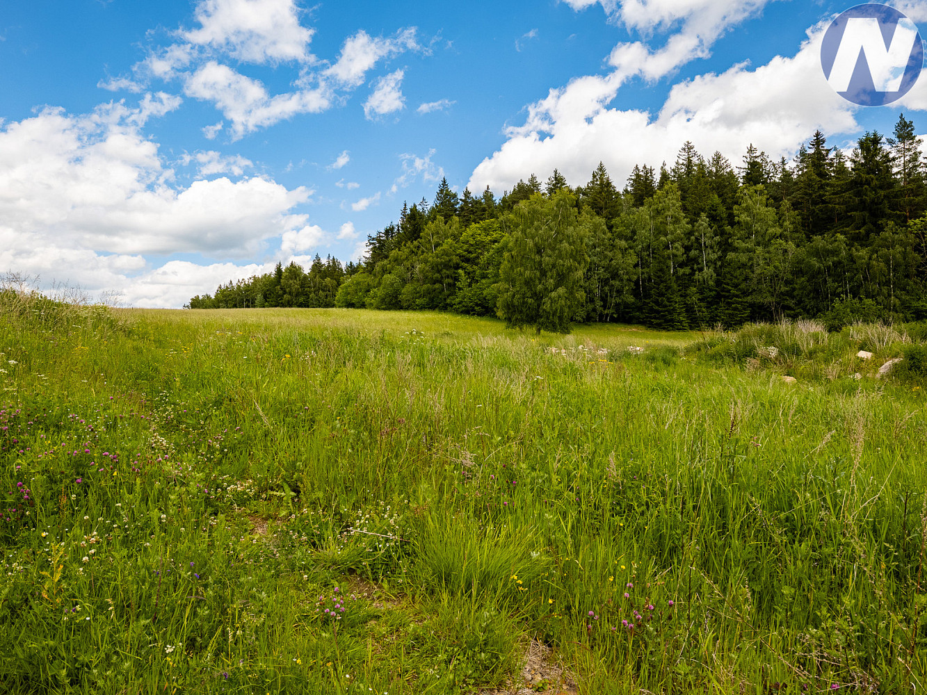 Prodej stavebního pozemku 2 650 m² – pohled 5