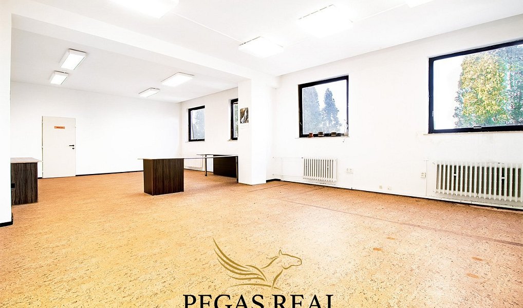 Pronájem kanceláře 66 m², Blučina – náhled fotky 5