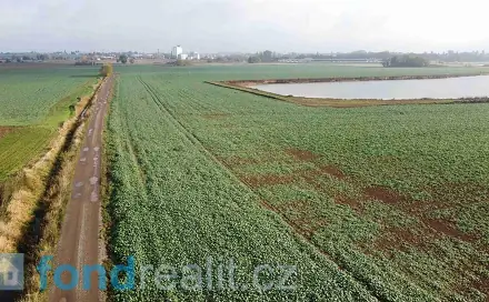Prodej pozemku 3 824 m², Smiřice, okres Hradec Králové