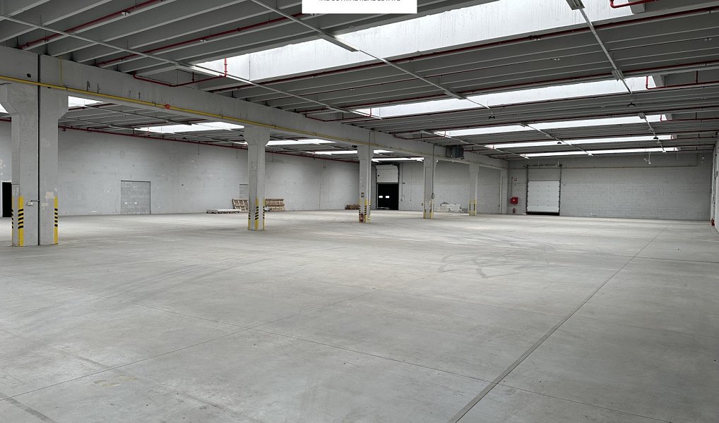 Pronájem skladovacích prostor 2 000 m², Říčany – náhled fotky 4
