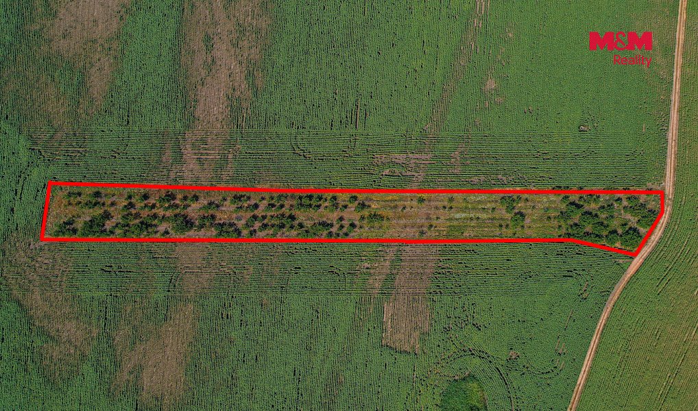 Prodej pole 14 490 m², Zaječí – náhled fotky 13