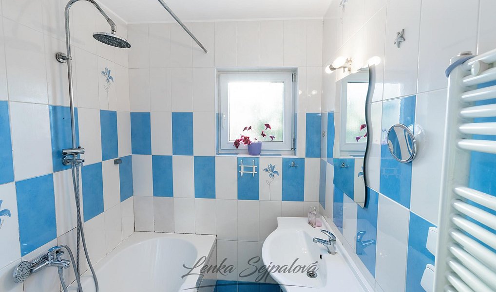 Prodej domu 146 m² s pozemkem 903 m², Horní Ředice – náhled fotky 9