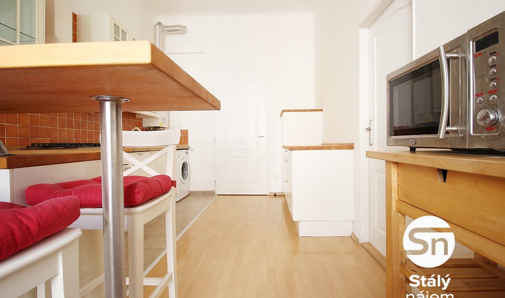 Pronájem bytu 1+1 47 m², Praha – náhled fotky 5