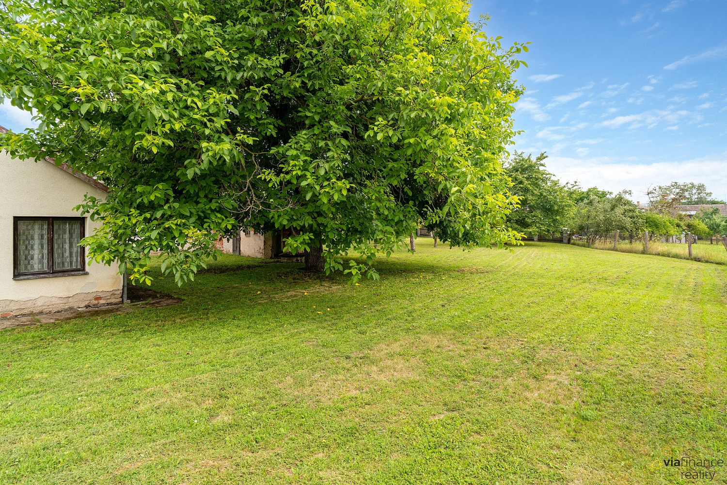 Prodej domu 65 m² s pozemkem 1 353 m² – fotografie 4