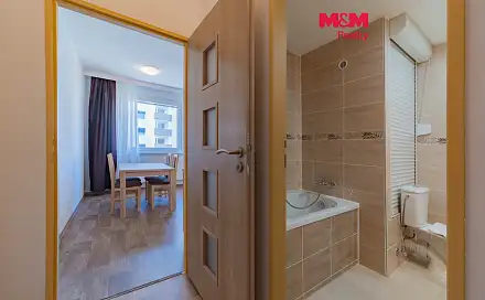 Pronájem bytu 1+1 40 m²