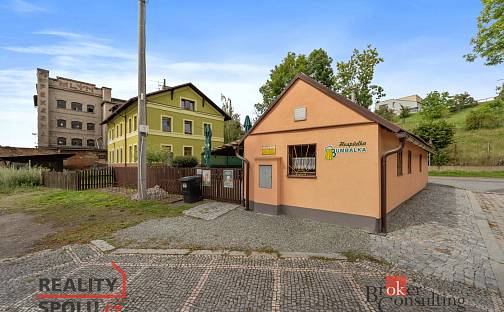 Prodej domu 90 m² s pozemkem 208 m², Mánesova, Kostelec nad Orlicí, okres Rychnov nad Kněžnou