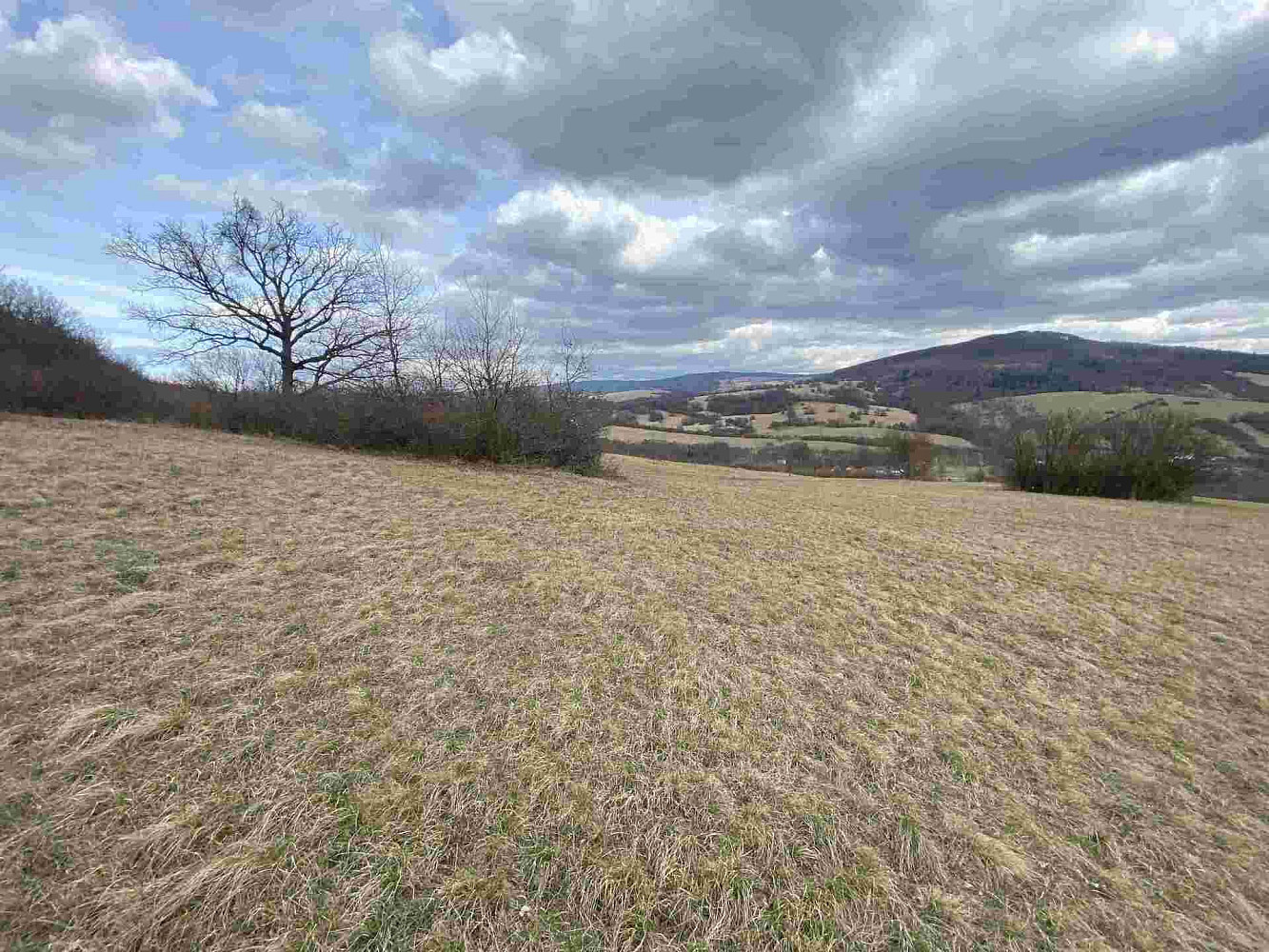Prodej pole 1 556 m² – fotografie 3