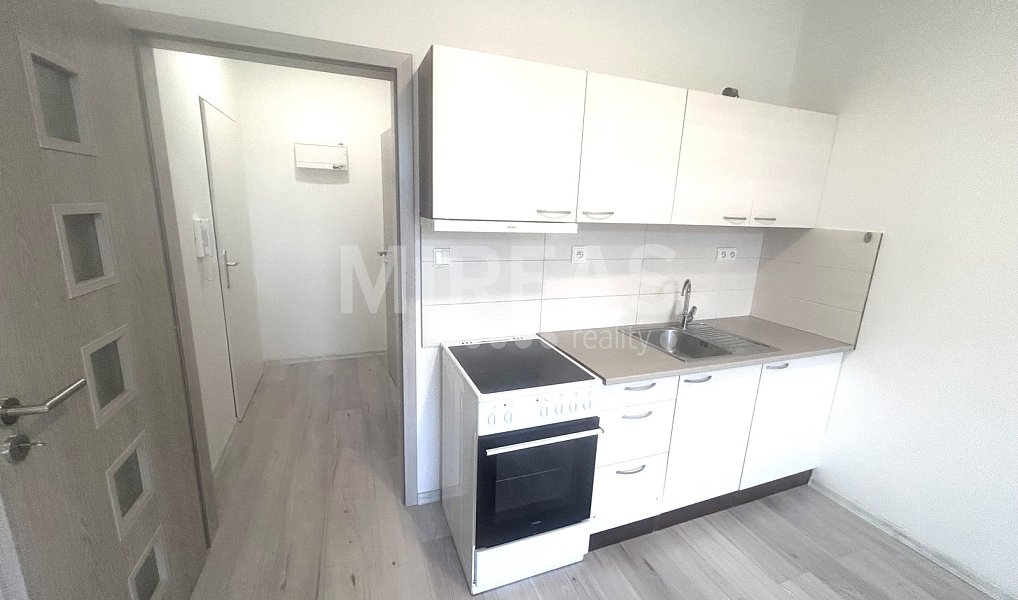Pronájem bytu 1+kk 25 m², Milovice – náhled fotky 2