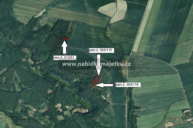Prodej lesa 8 927 m²