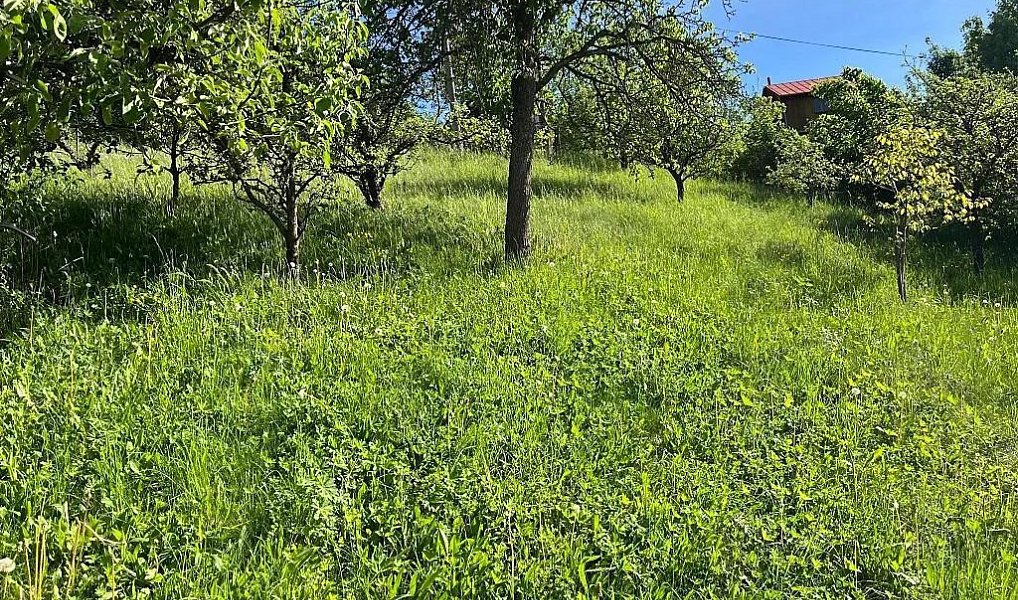 Prodej domu 329 m² s pozemkem 940 m², Vítějeves – náhled fotky 2