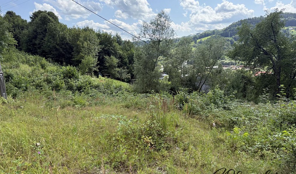 Prodej stavebního pozemku 2 186 m², Vsetín – náhled fotky 3