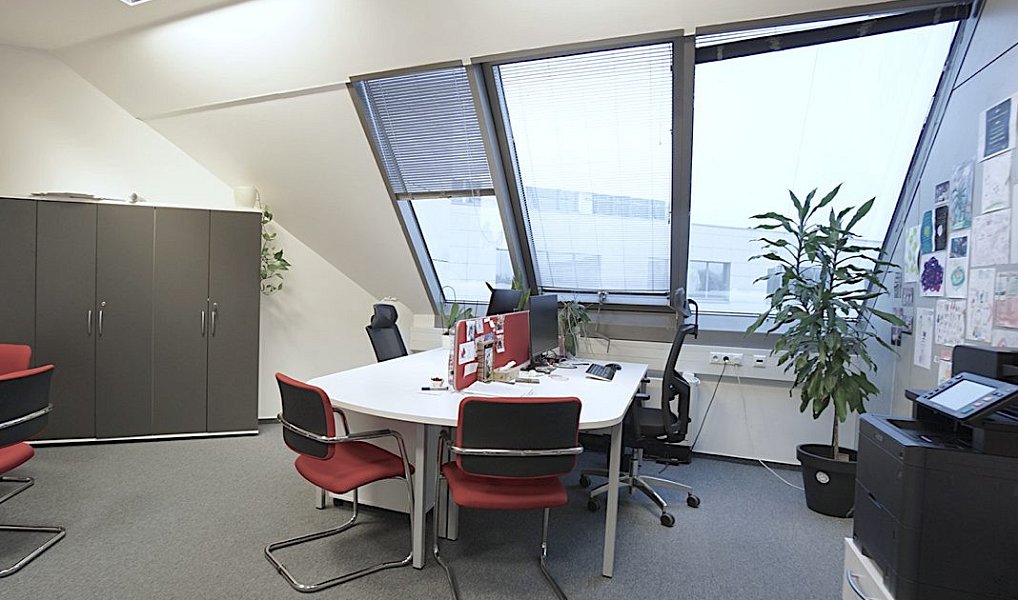 Pronájem kanceláře 35 m², Brno – náhled fotky 6