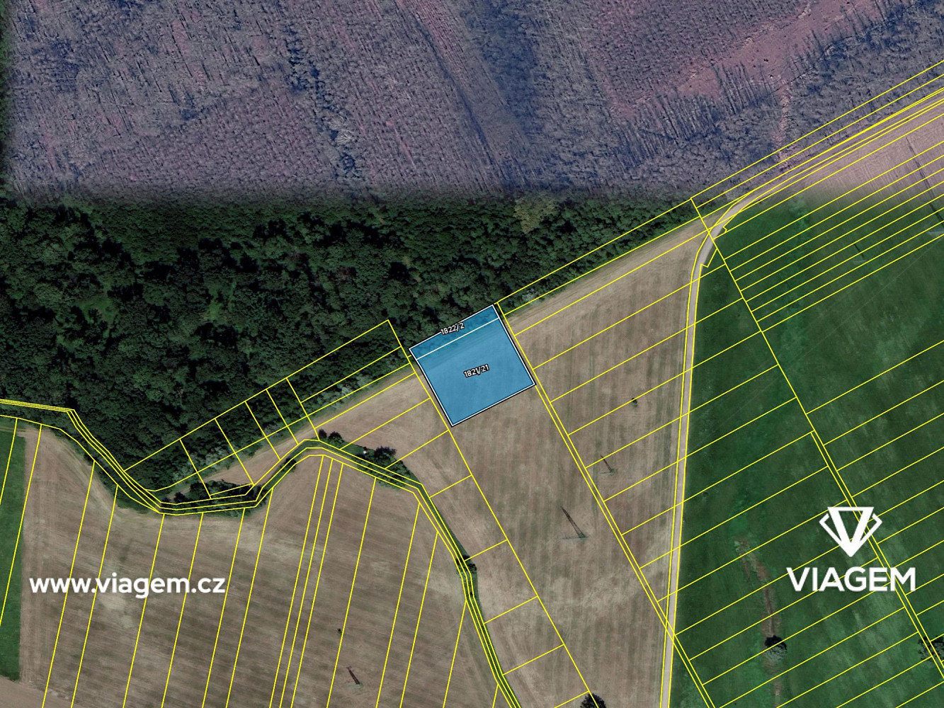 Prodej pole 390 m² – fotografie 4