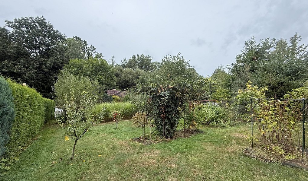 Prodej chaty/chalupy 20 m² s pozemkem 511 m², Horní Stropnice – náhled fotky 11