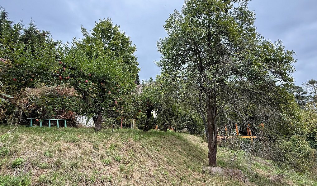 Prodej chaty/chalupy 50 m² s pozemkem 670 m², Nespeky – náhled fotky 22