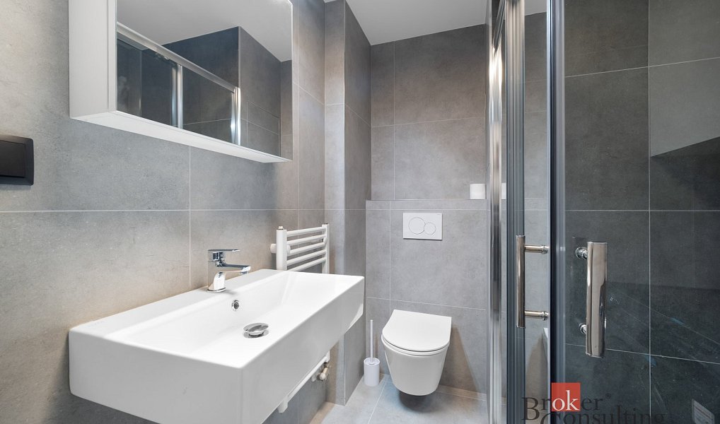 Pronájem bytu 1+kk 24 m², Brno – náhled fotky 7