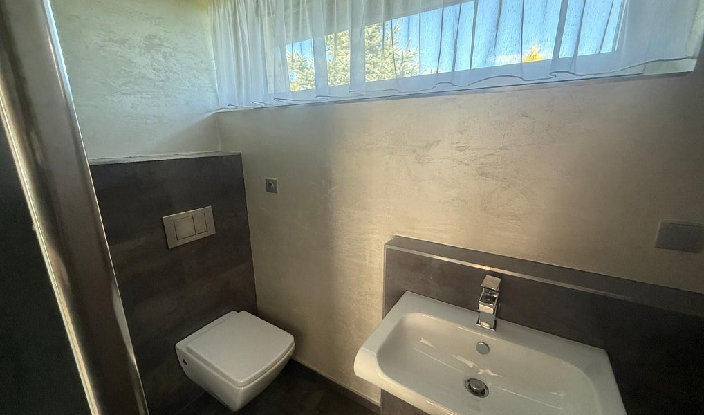 Pronájem domu 700 m² s pozemkem 768 m², Háj u Duchcova – náhled fotky 14